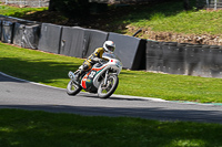Vintage-motorcycle-club;eventdigitalimages;mallory-park;mallory-park-trackday-photographs;no-limits-trackdays;peter-wileman-photography;trackday-digital-images;trackday-photos;vmcc-festival-1000-bikes-photographs